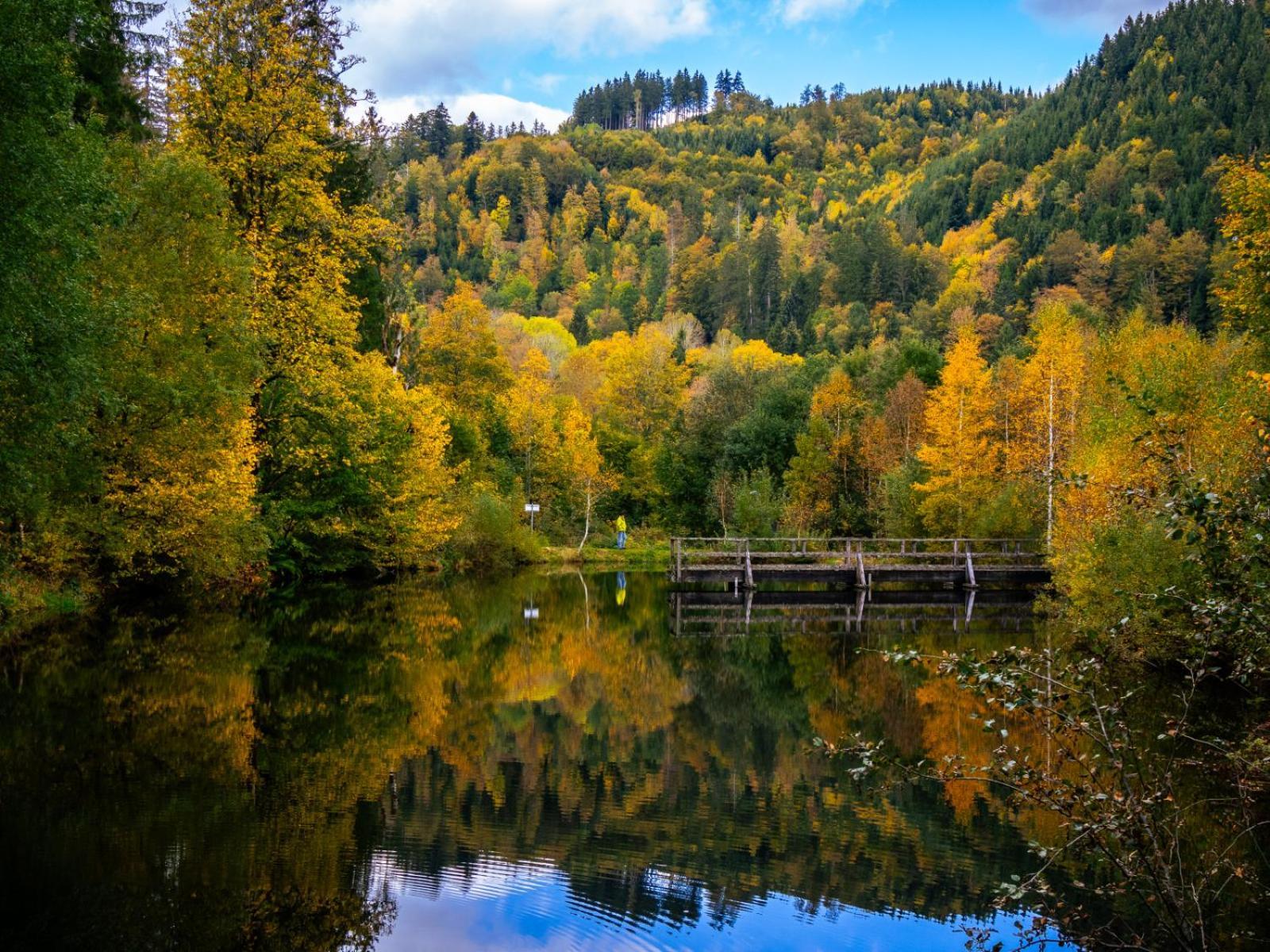 Landhaus Panoramablick Schonach im Schwarzwald Extérieur photo