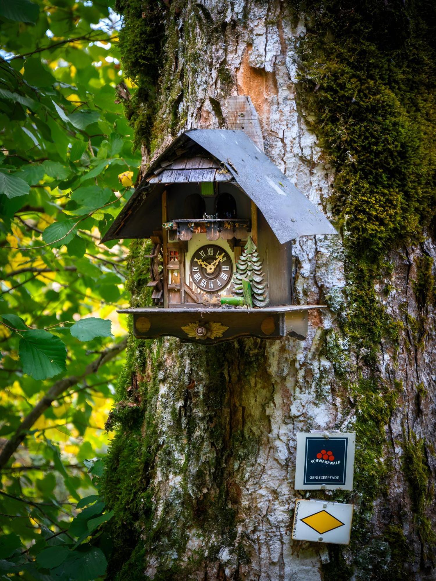Landhaus Panoramablick Schonach im Schwarzwald Extérieur photo
